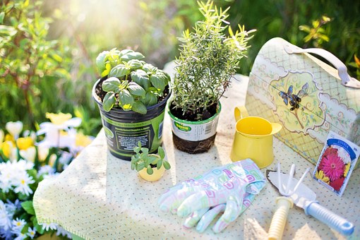 Must-have Tools For A Gardener